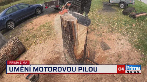 Prima ROK, 16.2. v 15:40 - Sochy motorovou pilou