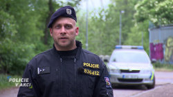 Policie v akci