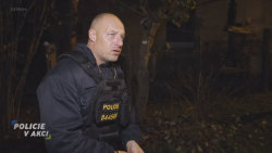 Policie v akci