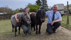 Veterinář z Yorkshiru