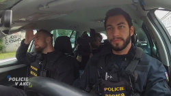 Policie v akci