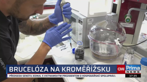 ZPRÁVY Z REGIONŮ - 20.11. v 17:25