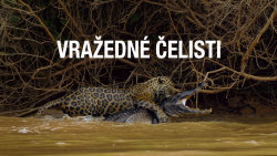 Vražedné čelisti