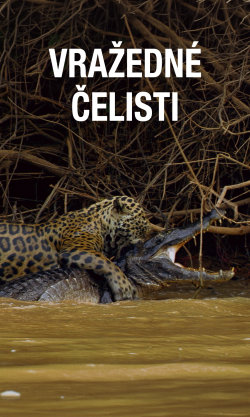 Vražedné čelisti