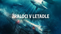 Žraloci v letadle