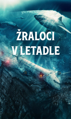 Žraloci v letadle