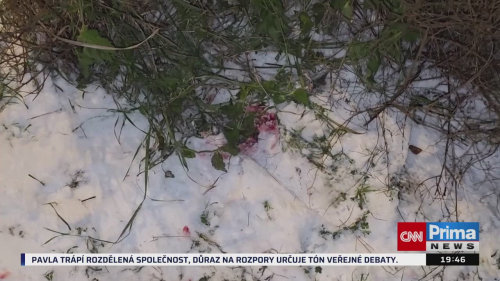 KRIMI ZPRÁVY, 1.1. v 19:40