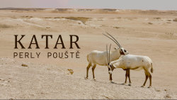 Katar: Perly pouště