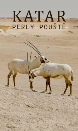 Katar: Perly pouště