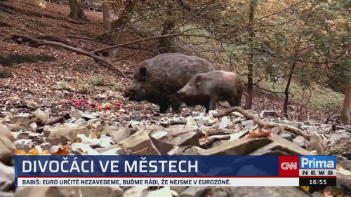 ZPRÁVY Z REGIONŮ, 13.1. v 16:55