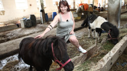 Farmář hledá ženu III SK (1)