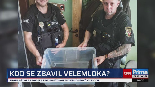 ZPRÁVY Z REGIONŮ - 23.6. v 16:55