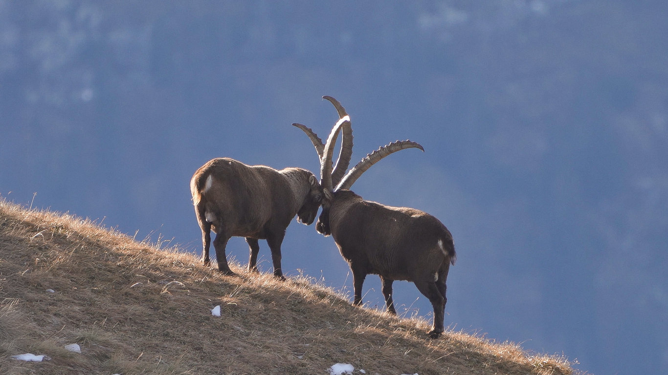 Arlberg: Divoký a světoznámý