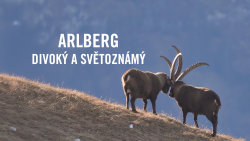 Arlberg: Divoký a světoznámý