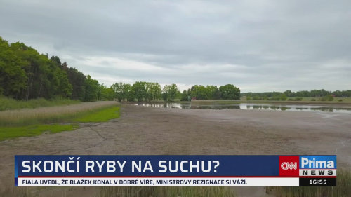 ZPRÁVY Z REGIONŮ - 31.5. v 16:55