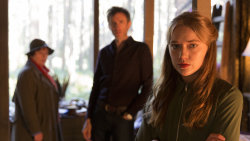 Zločiny z vřesovišť