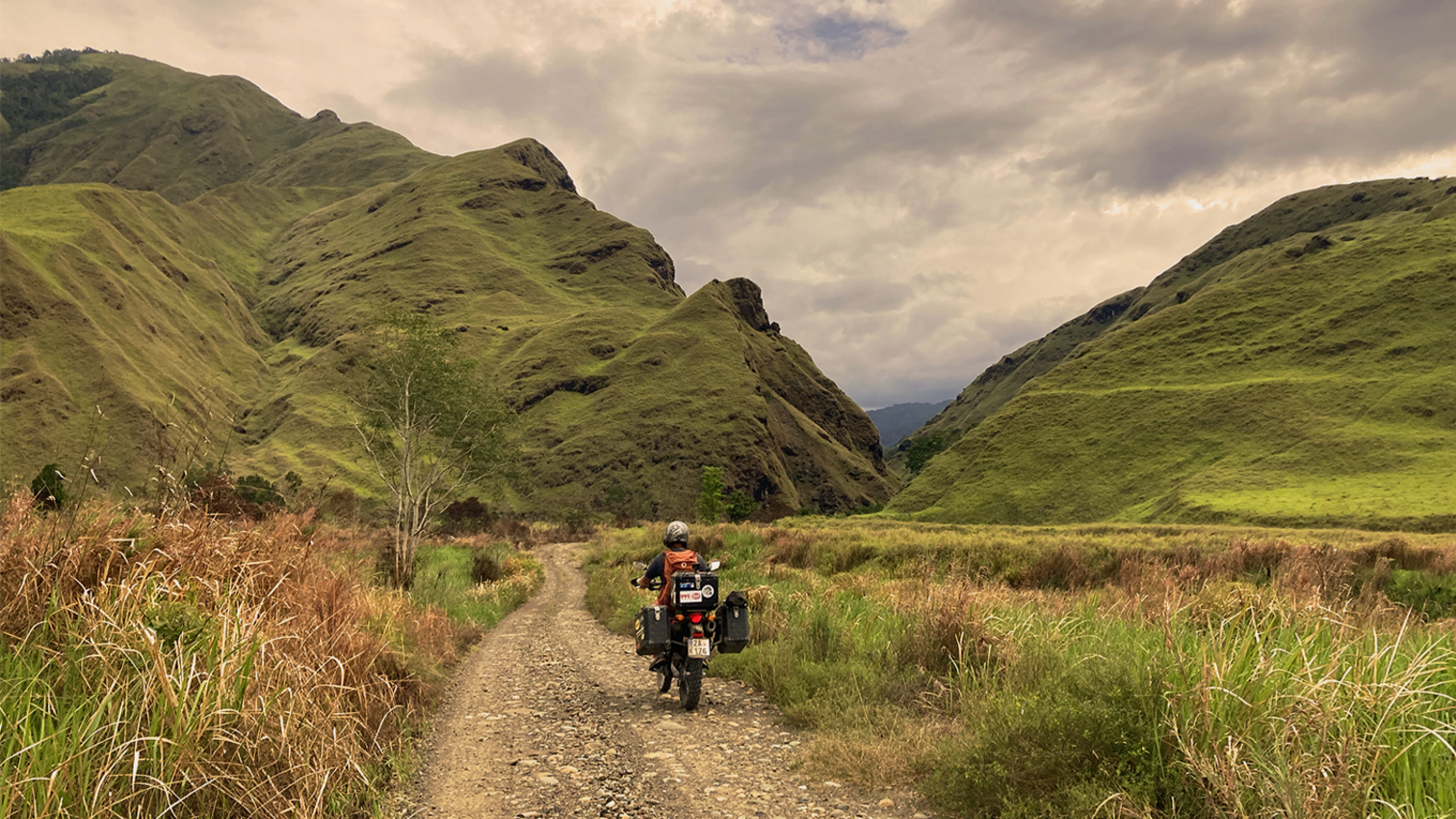 Jungle Road