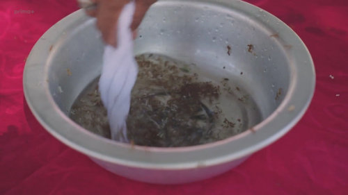 Asia Express: Mravenčí delikatesa