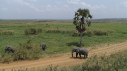 Svět ohrožených druhů