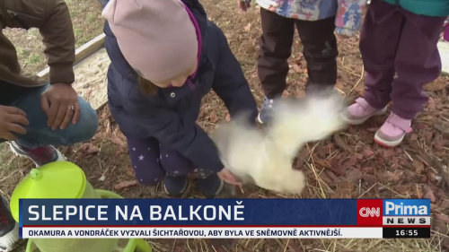 ZPRÁVY Z REGIONŮ, 8.3. v 16:55