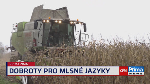 Prima ROK, 15.2. v 17:35 - Sýrárna