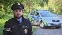 Policie v akci
