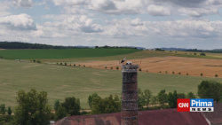 Kroužkování čápů a orlů