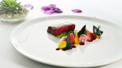 Prima SVĚT, 1.2. v 09:25