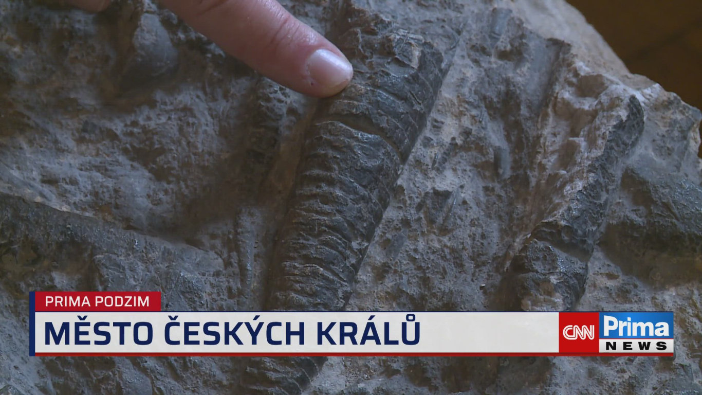 Prima ROK, 8.12. v 15:40 - Prima ROK - CNN Prima NEWS