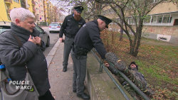 Policie v akci