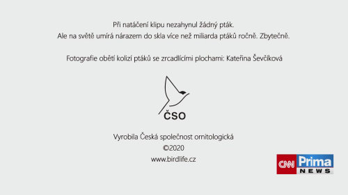 Rozhovor s ornitologem Davidem Říhou o ptácích ve městech