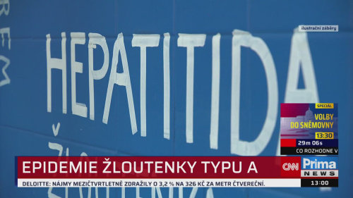 ZPRÁVY - 11.8. v 13:00
