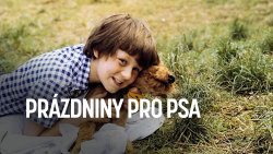 Prázdniny pro psa