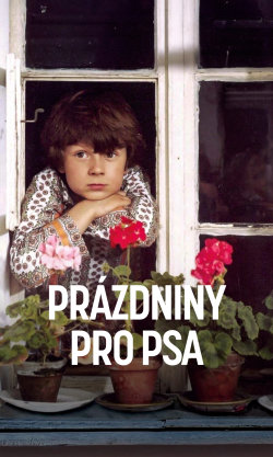 Prázdniny pro psa
