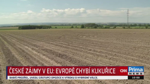 ZPRÁVY, 19.9. v 10:00