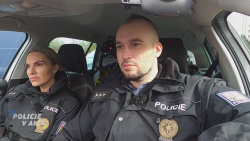 Policie v akci