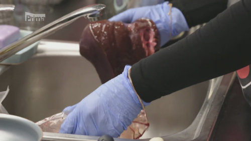 Játra - Prostřeno! S30 (198)