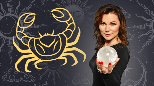 RAK – týden 8.12. – 14.12.2025