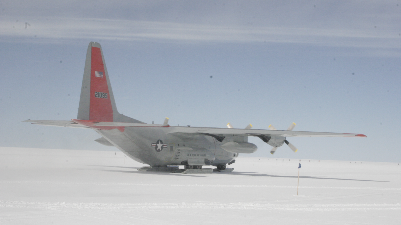 Skibird
