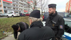 Policie v akci