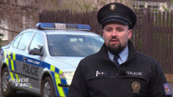 Policie v akci