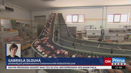 Co na to vaše peněženka, 30.6. v 17:55 - David Bednář, Petr Havel