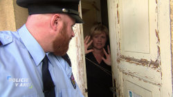 Policie v akci
