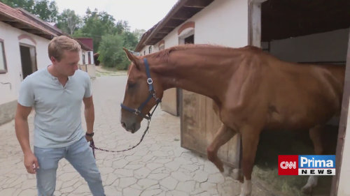 Ondřej Kraus o koních a otcovství