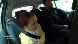 Policie v akci