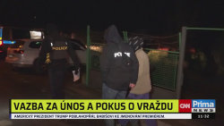 ZPRÁVY PLUS, 17.12. v 11:30