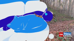 PRIMA MAZLÍČEK, 29.11. v 12:48