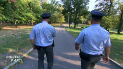 Policie v akci