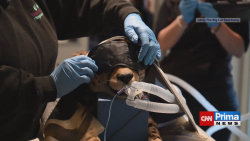 Prima SVĚT - 9.11. v 09:00