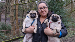 Veterinář z Yorkshiru S12 (2)